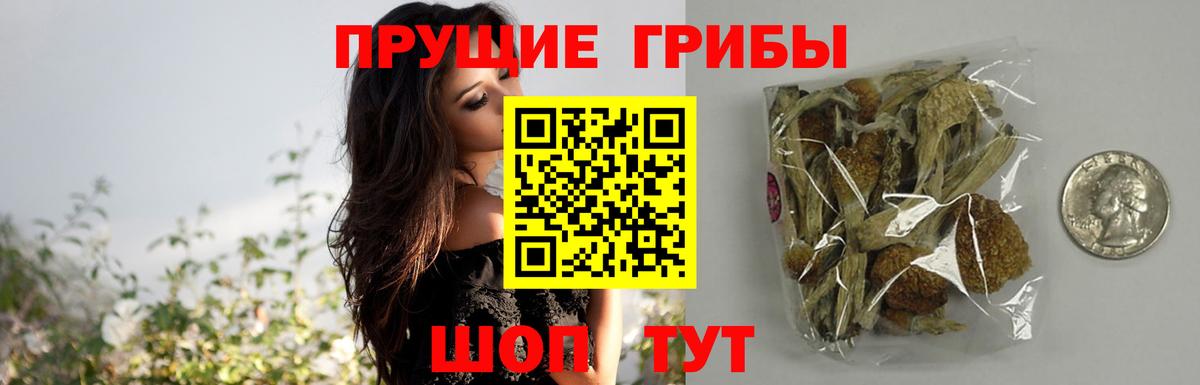 Псилоцибиновые грибы мицелий  где найти наркотики  Вход с VPN  Калуга  Галлюциногенные грибы GOLDEN TEACHER 