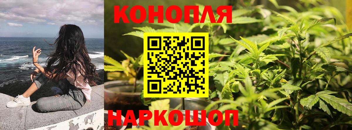 Канабис White Widow  Канабис конопля  Калуга  Вход с VPN 